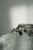 IMG_2697.jpeg