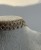 IMG_9380.jpeg